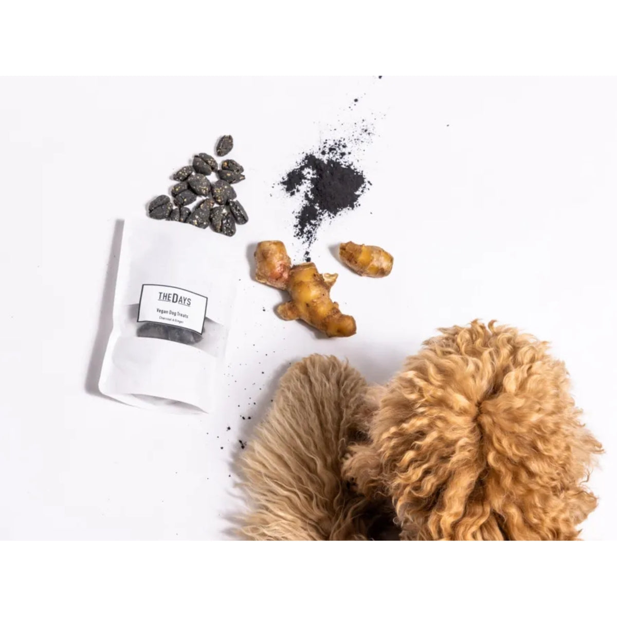 THE DAYS VEGAN DOG TREATS ビーガン ドッグ トリーツ チャコール&ジンジャー ET001
