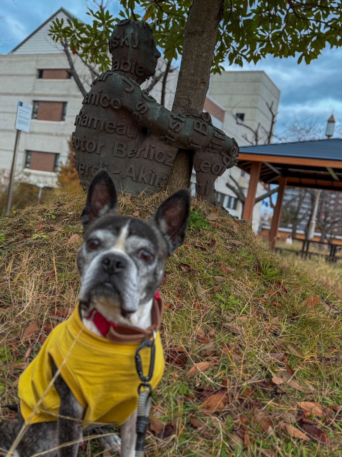 iPhone vs 一眼レフ