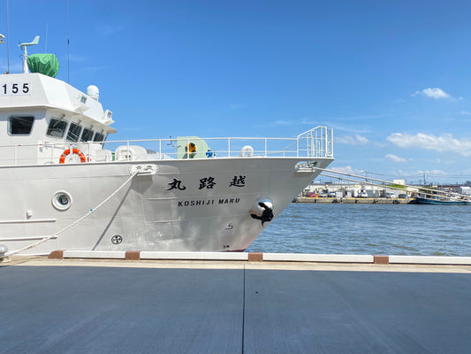 停泊
