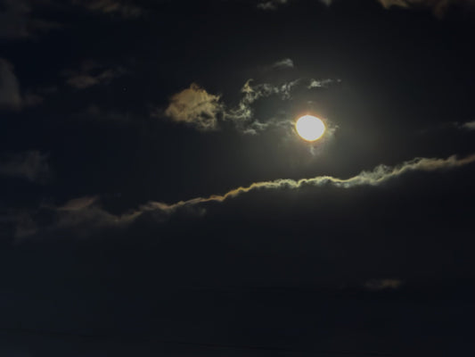 愛犬よりマテが苦手な私