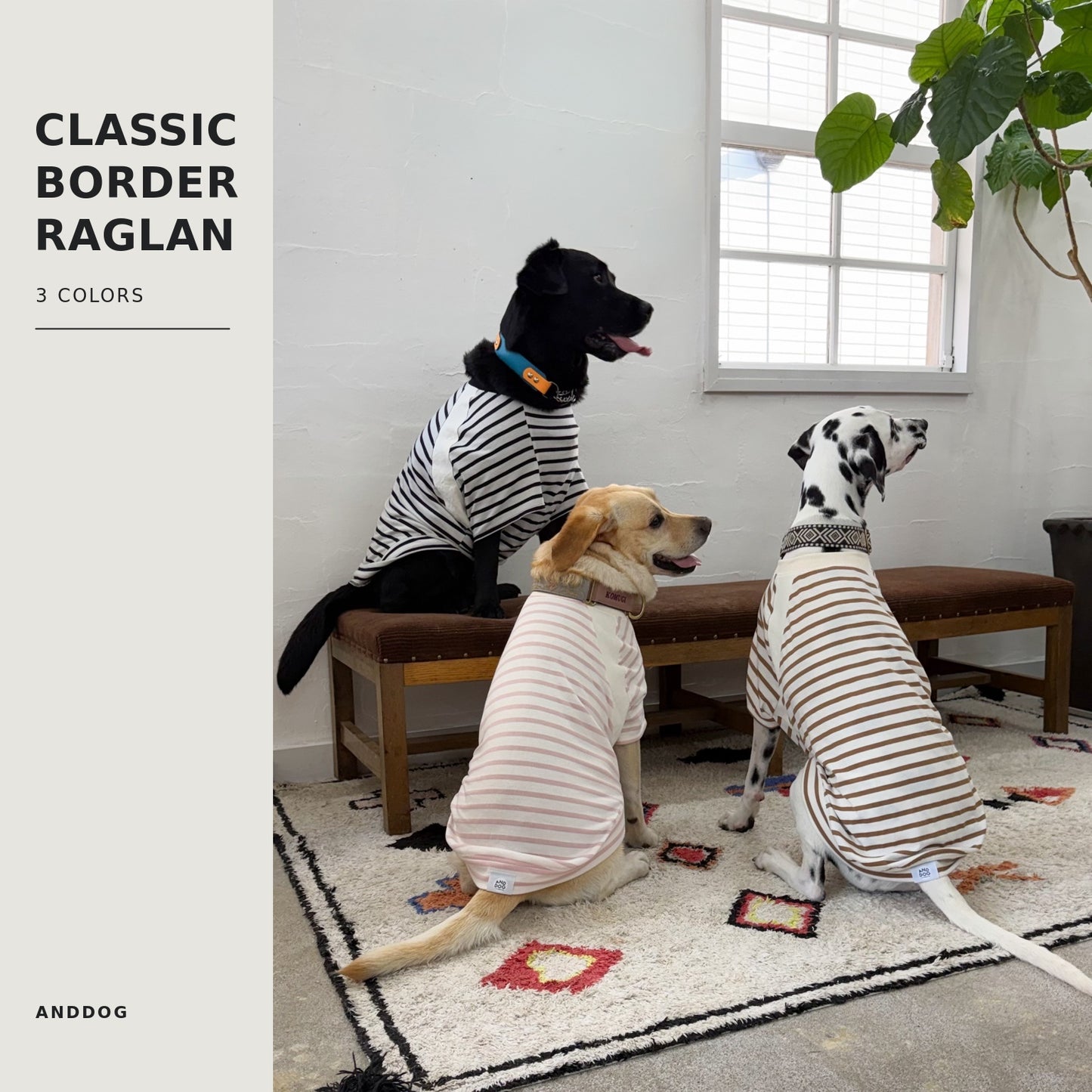 【受注商品】クラシックボーダーラグラン ad082