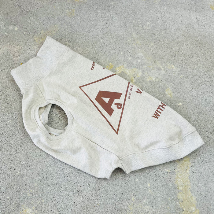 【受注商品】サンカクスウェット　ad055