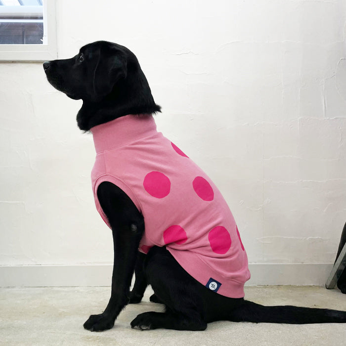 【受注商品】ドットスウェット　ad056