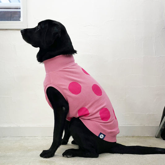 【受注商品】ドットスウェット　ad056