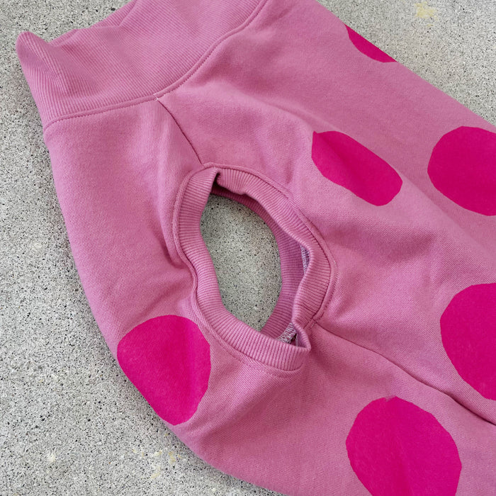 【受注商品】ドットスウェット　ad056