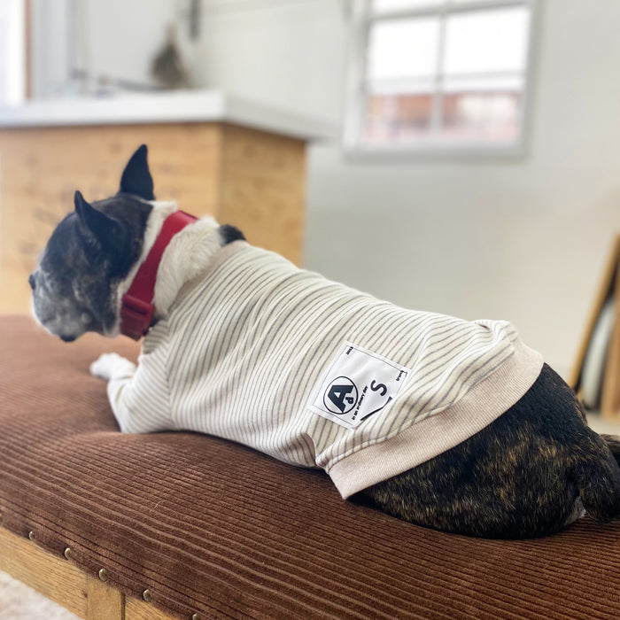 【受注商品】ボーダーラグランスリーブ　ad059