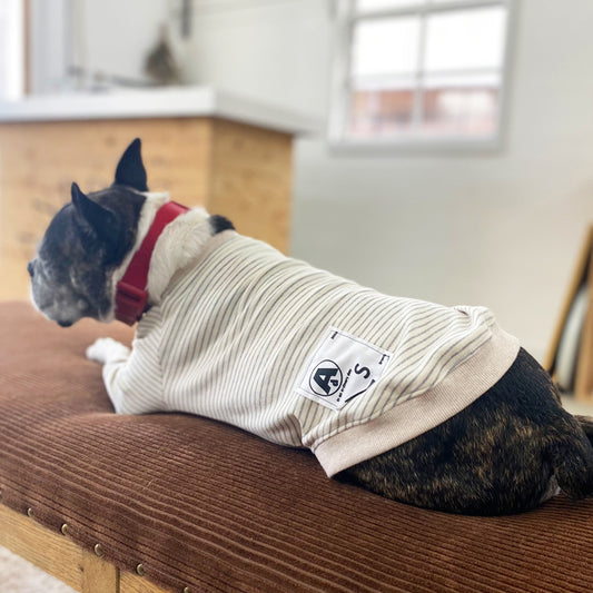 【受注商品】ボーダーラグランスリーブ　ad059