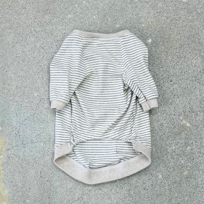 【受注商品】ボーダーラグランスリーブ　ad059