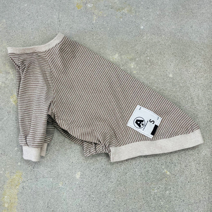 【受注商品】ボーダーラグランスリーブ　ad059