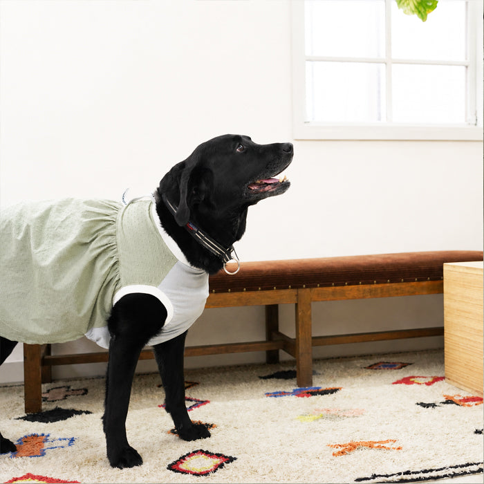 【受注商品】大型犬ワンピース | お腹接触冷感メッシュad079