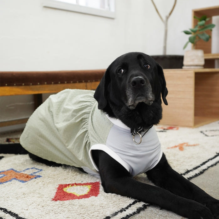 【受注商品】大型犬ワンピース | お腹接触冷感メッシュad079