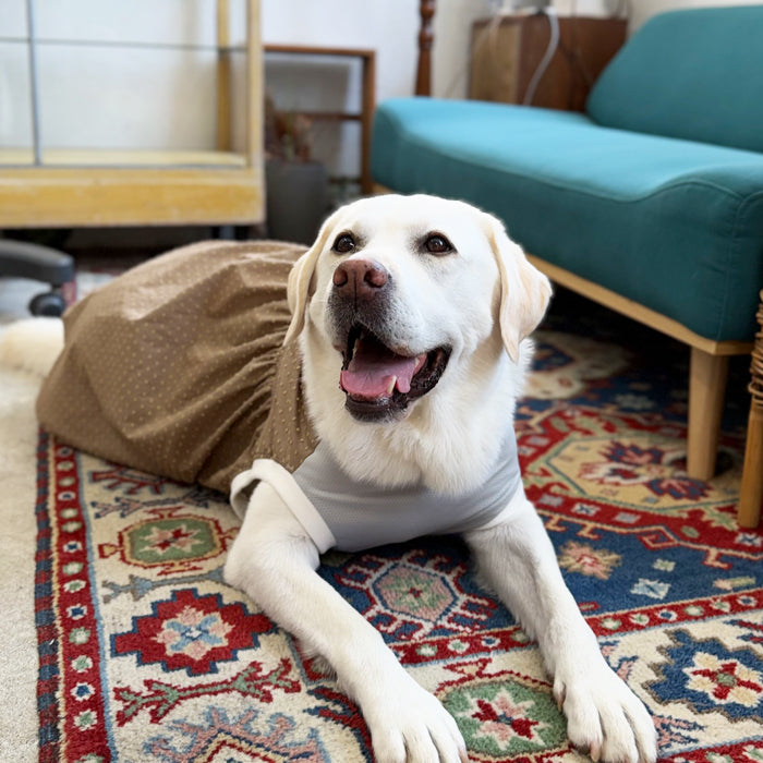 【受注商品】大型犬ワンピース | お腹接触冷感メッシュad079