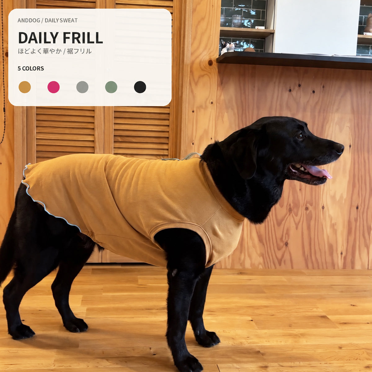 【受注商品】DAILY FRILL ad084