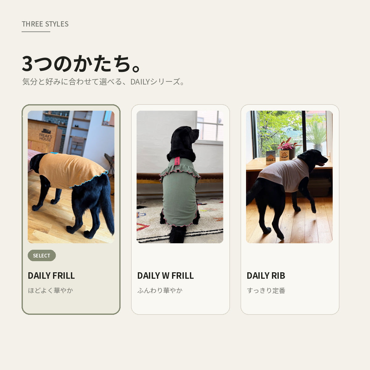 【受注商品】DAILY FRILL ad084