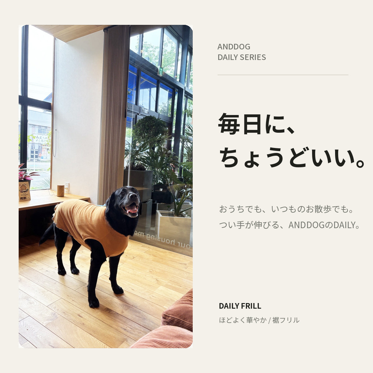 【受注商品】DAILY FRILL ad084