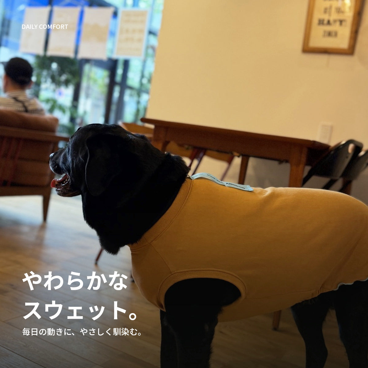 【受注商品】DAILY FRILL ad084