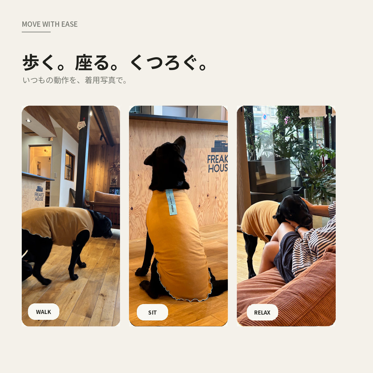 【受注商品】DAILY FRILL ad084