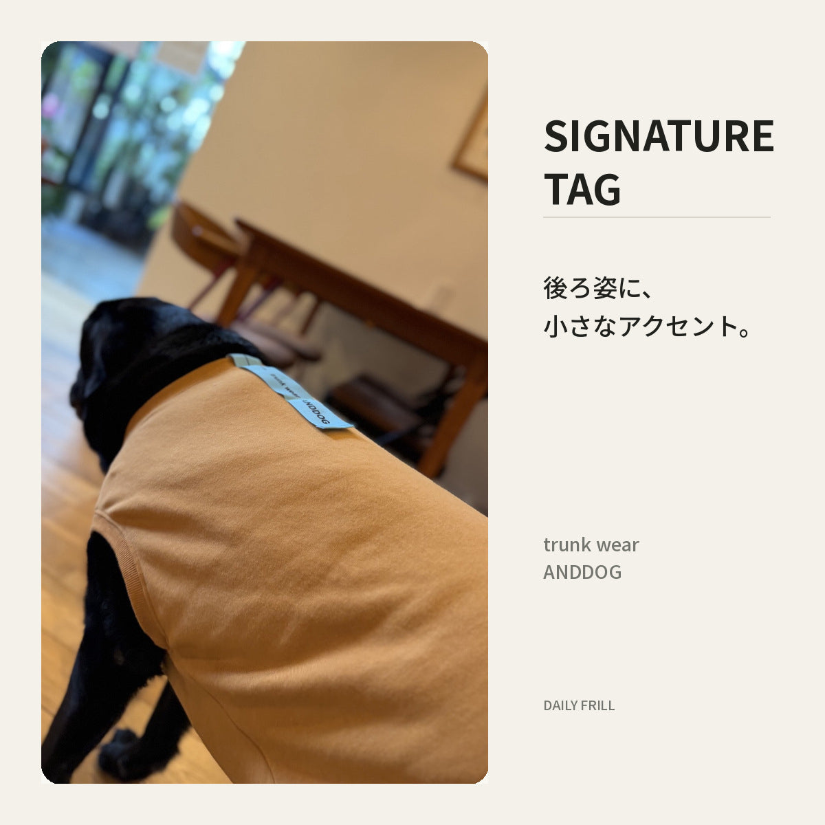 【受注商品】DAILY FRILL ad084