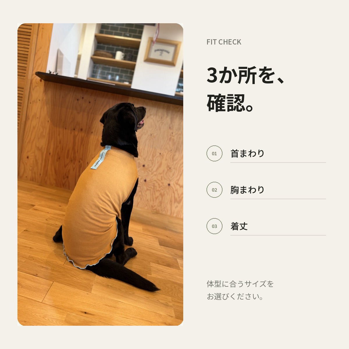 【受注商品】DAILY FRILL ad084