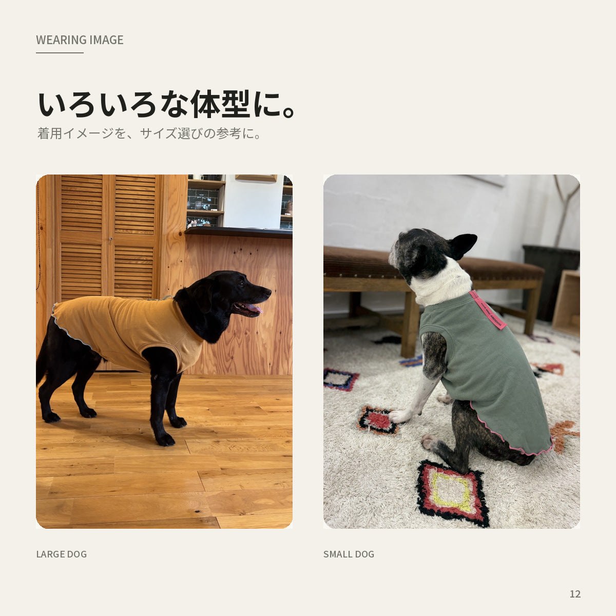 【受注商品】DAILY FRILL ad084