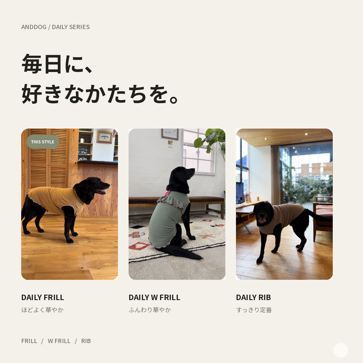 【受注商品】DAILY FRILL ad084