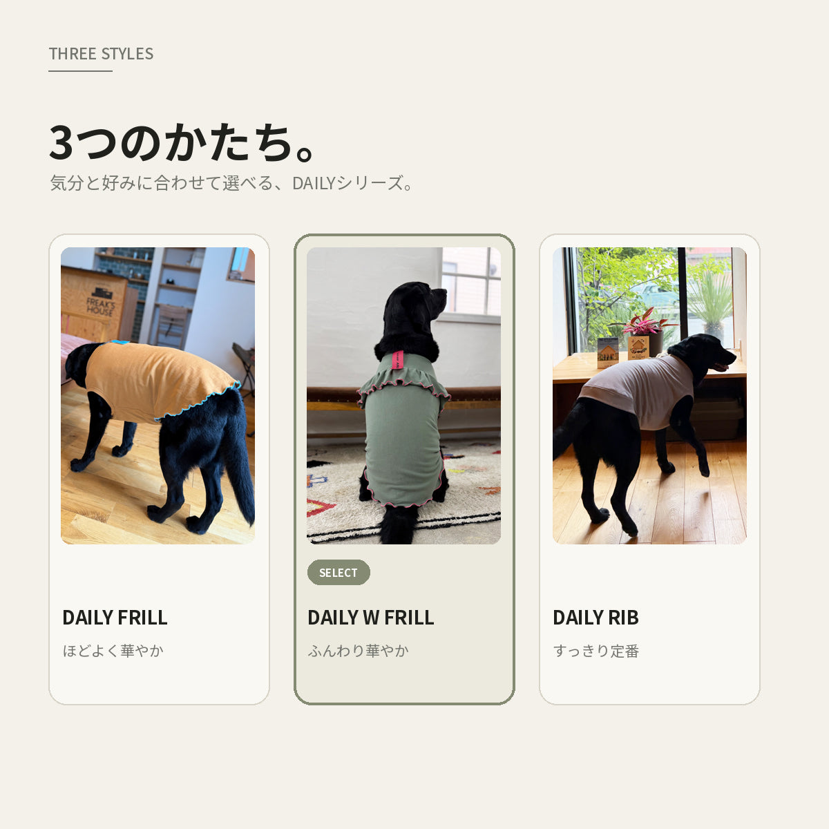 【受注商品】DAILY W-FRILL ad085