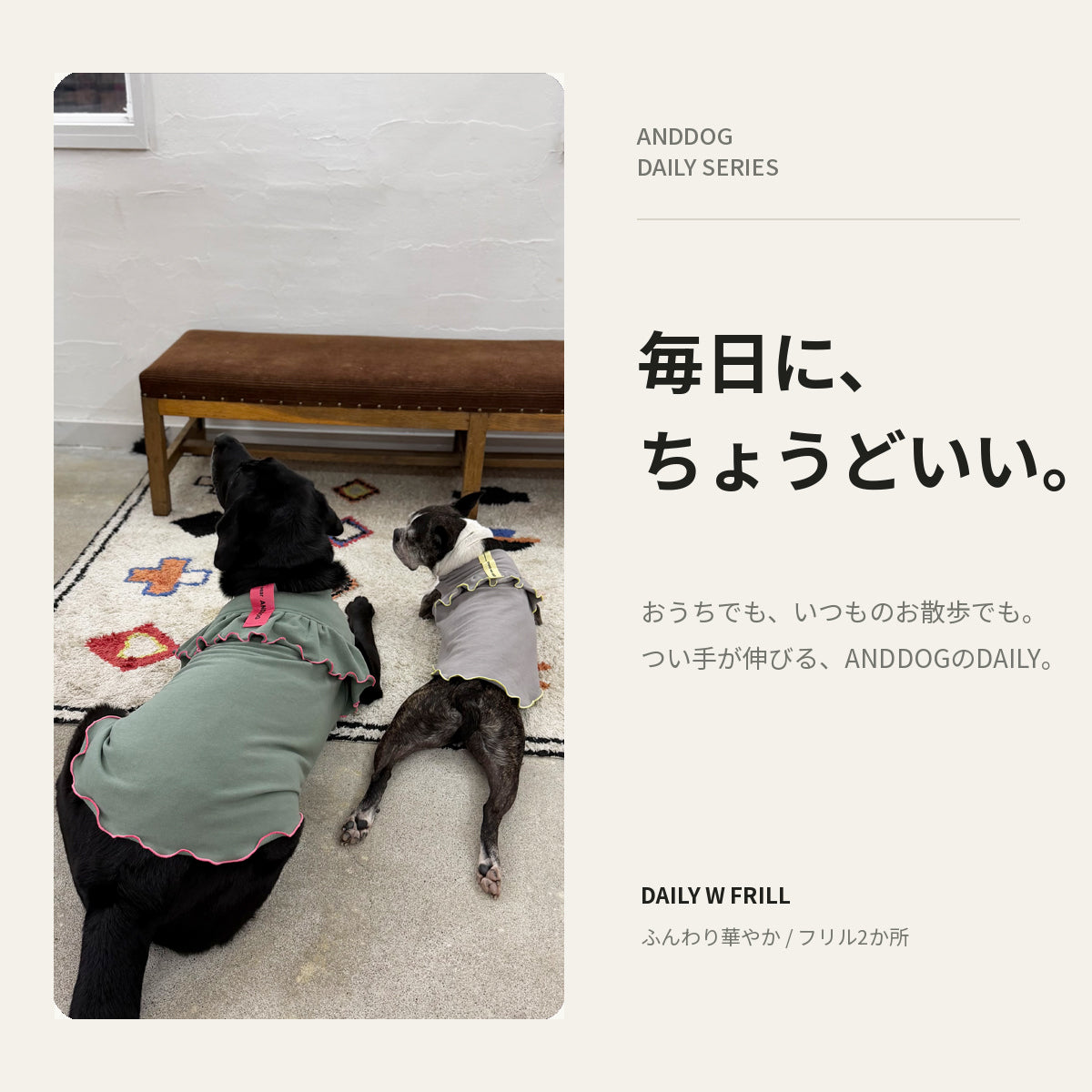【受注商品】DAILY W-FRILL ad085