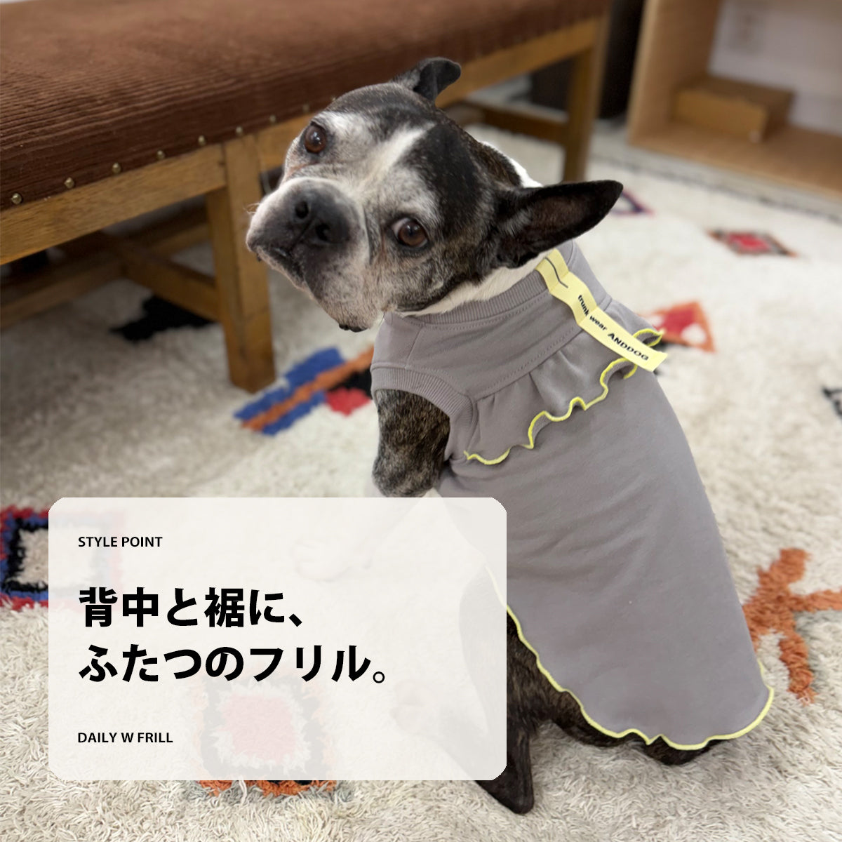 【受注商品】DAILY W-FRILL ad085