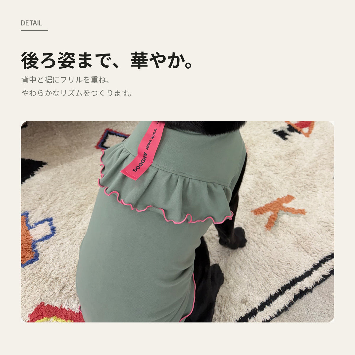 【受注商品】DAILY W-FRILL ad085
