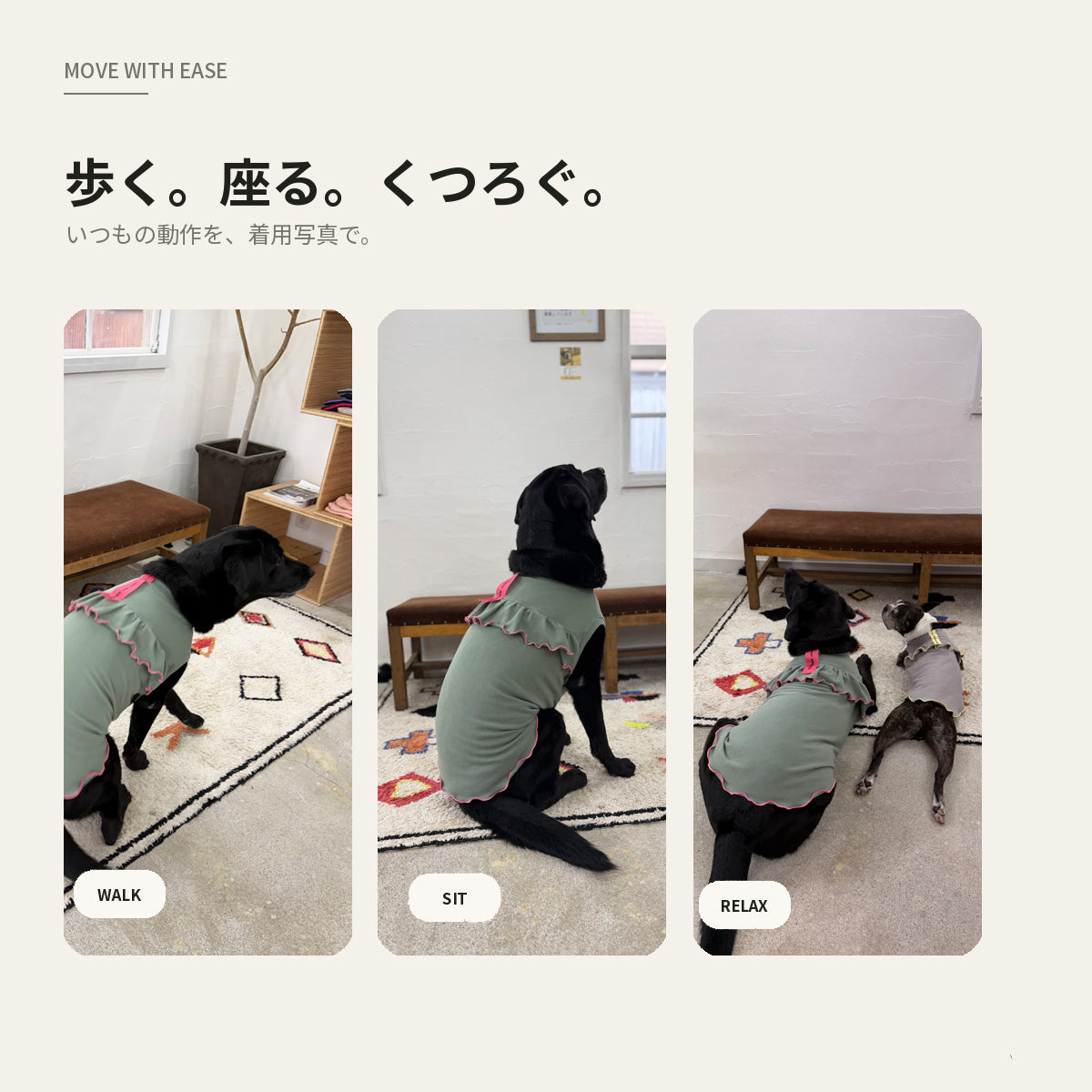 【受注商品】DAILY W-FRILL ad085
