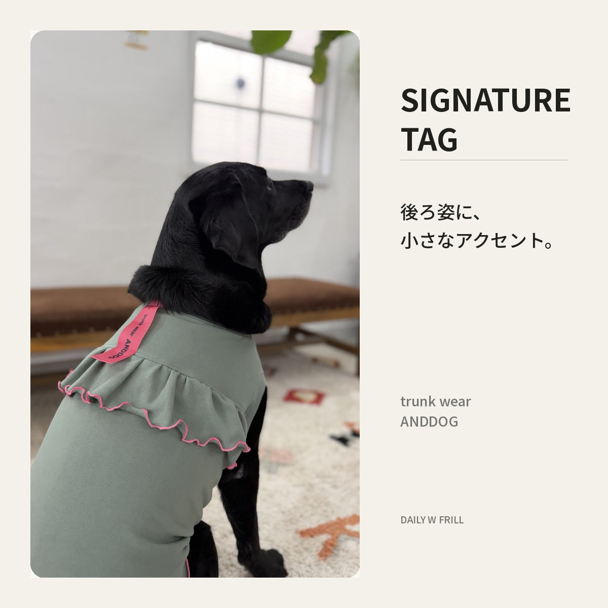 【受注商品】DAILY W-FRILL ad085