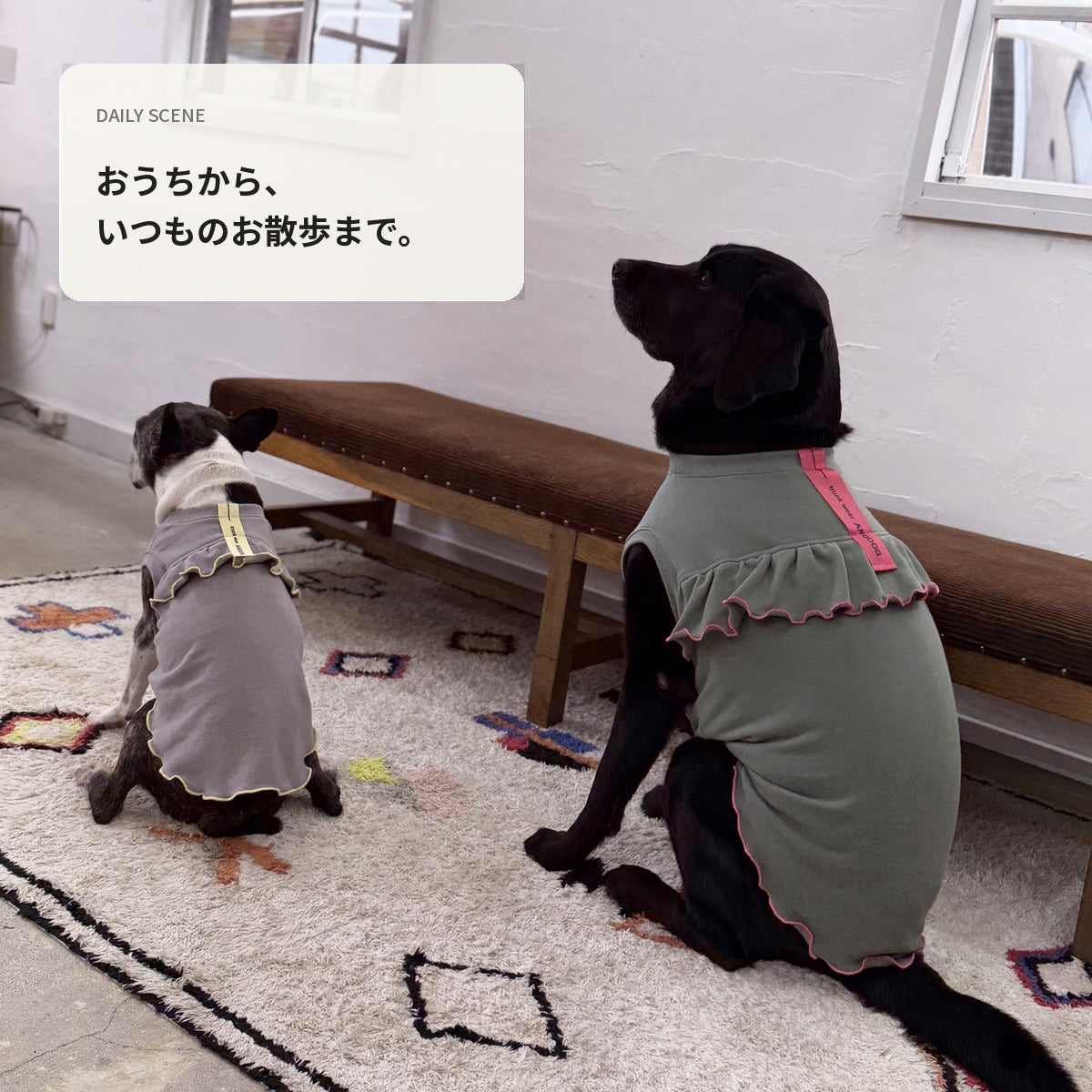 【受注商品】DAILY W-FRILL ad085