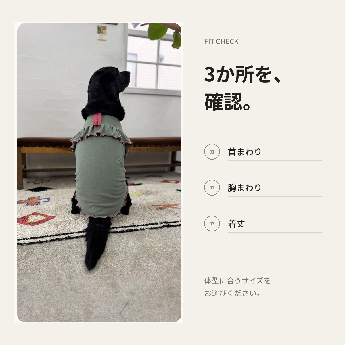【受注商品】DAILY W-FRILL ad085