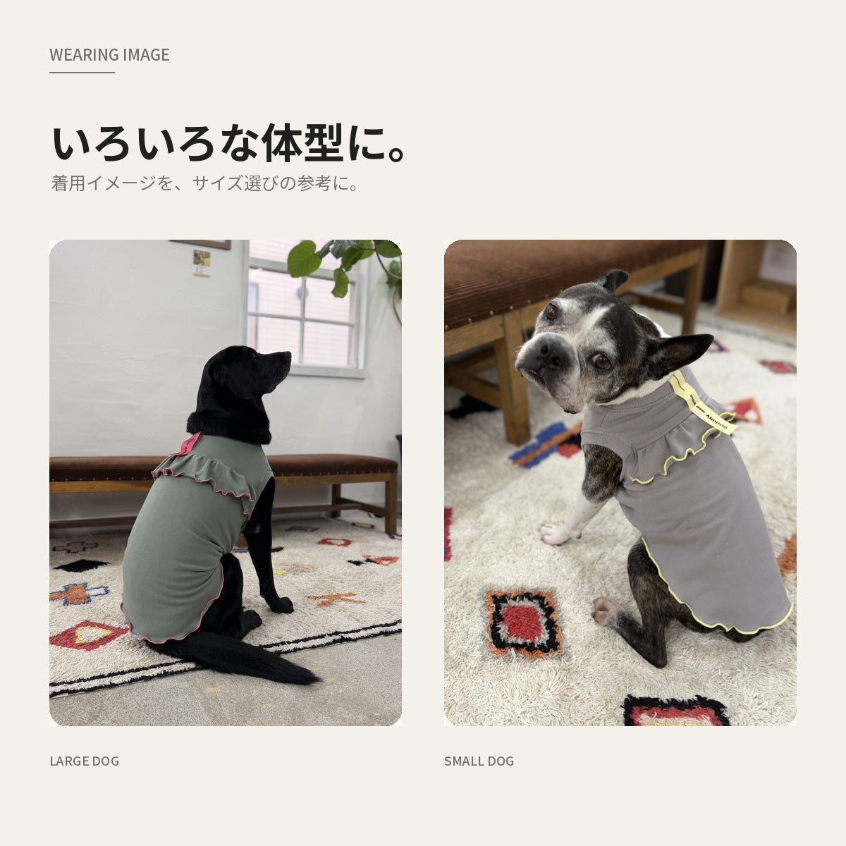【受注商品】DAILY W-FRILL ad085