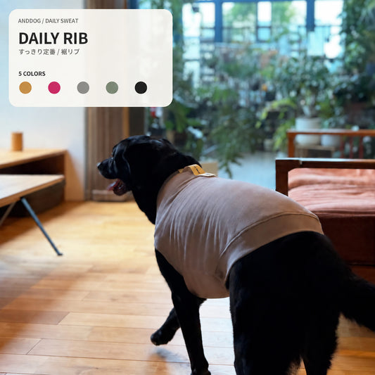 【受注商品】DAILY RIBU ad086