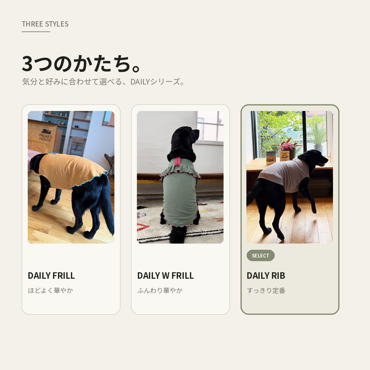 【受注商品】DAILY RIBU ad086