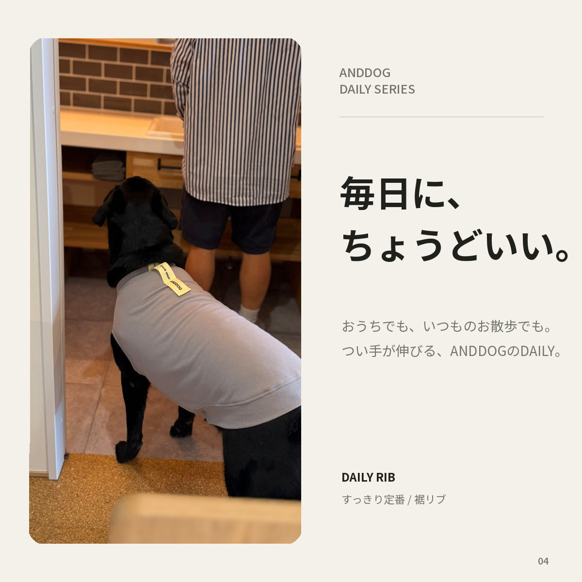 【受注商品】DAILY RIBU ad086