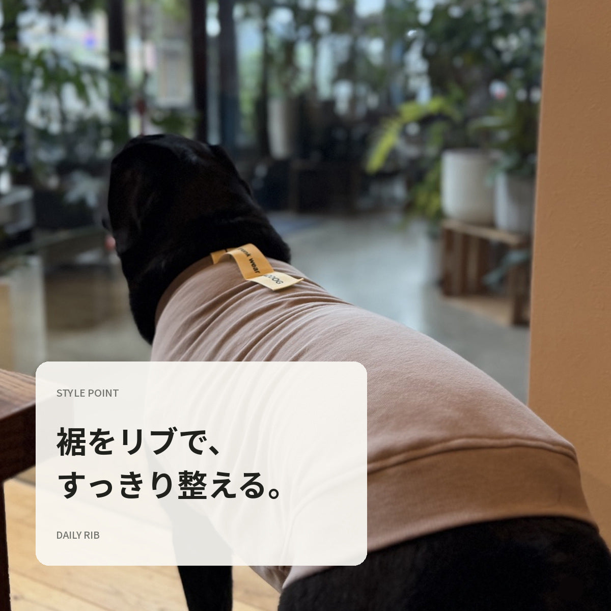 【受注商品】DAILY RIBU ad086