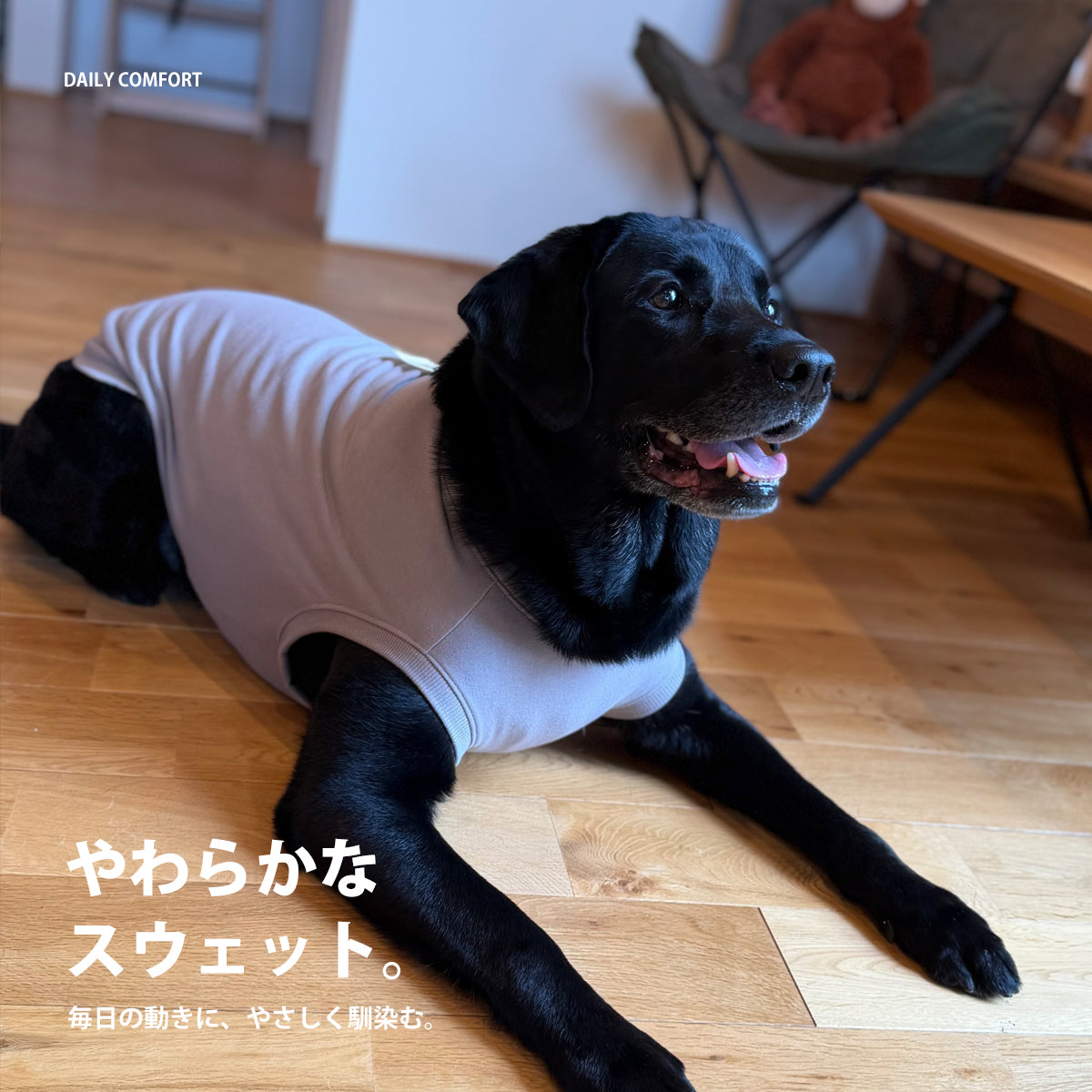 【受注商品】DAILY RIBU ad086