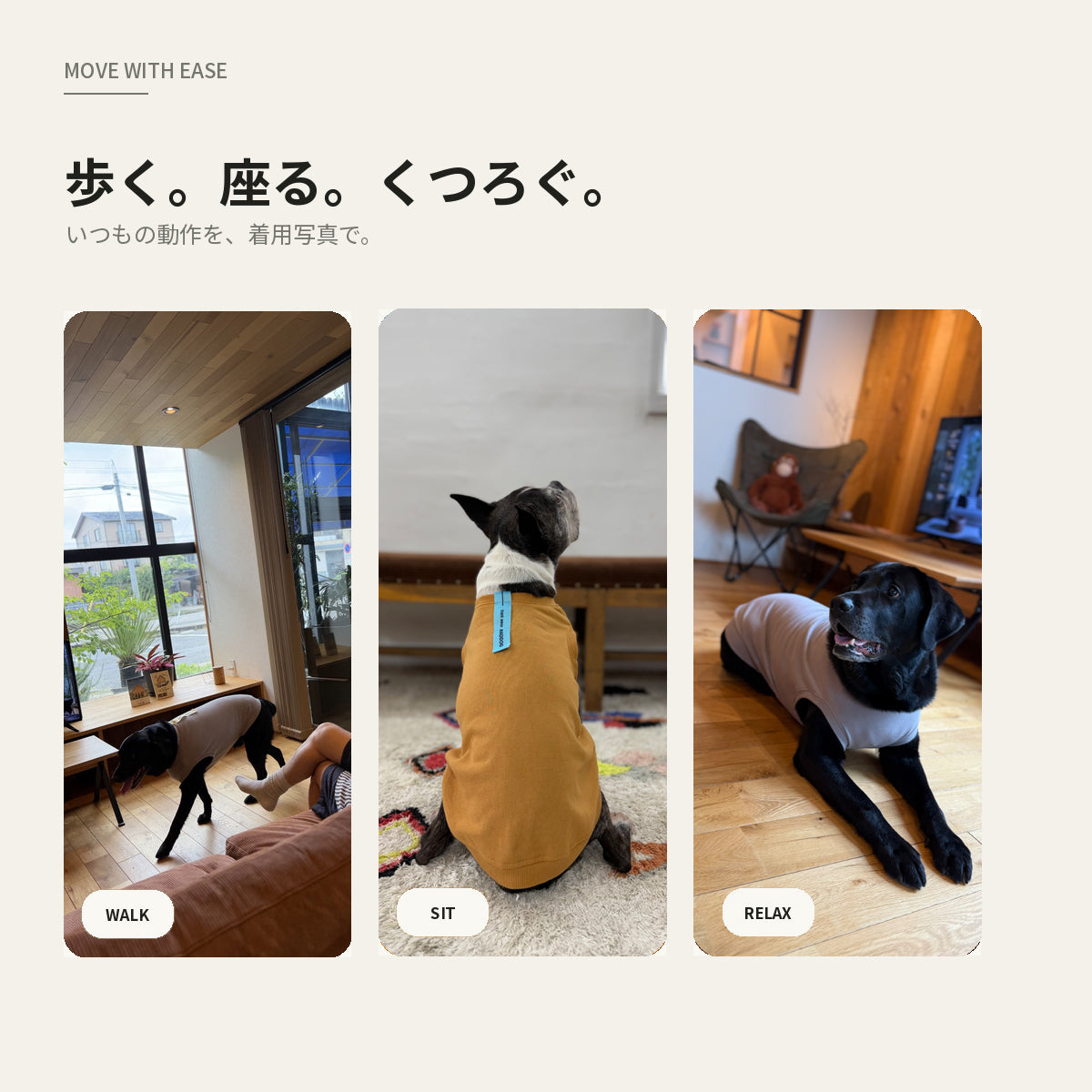 【受注商品】DAILY RIBU ad086