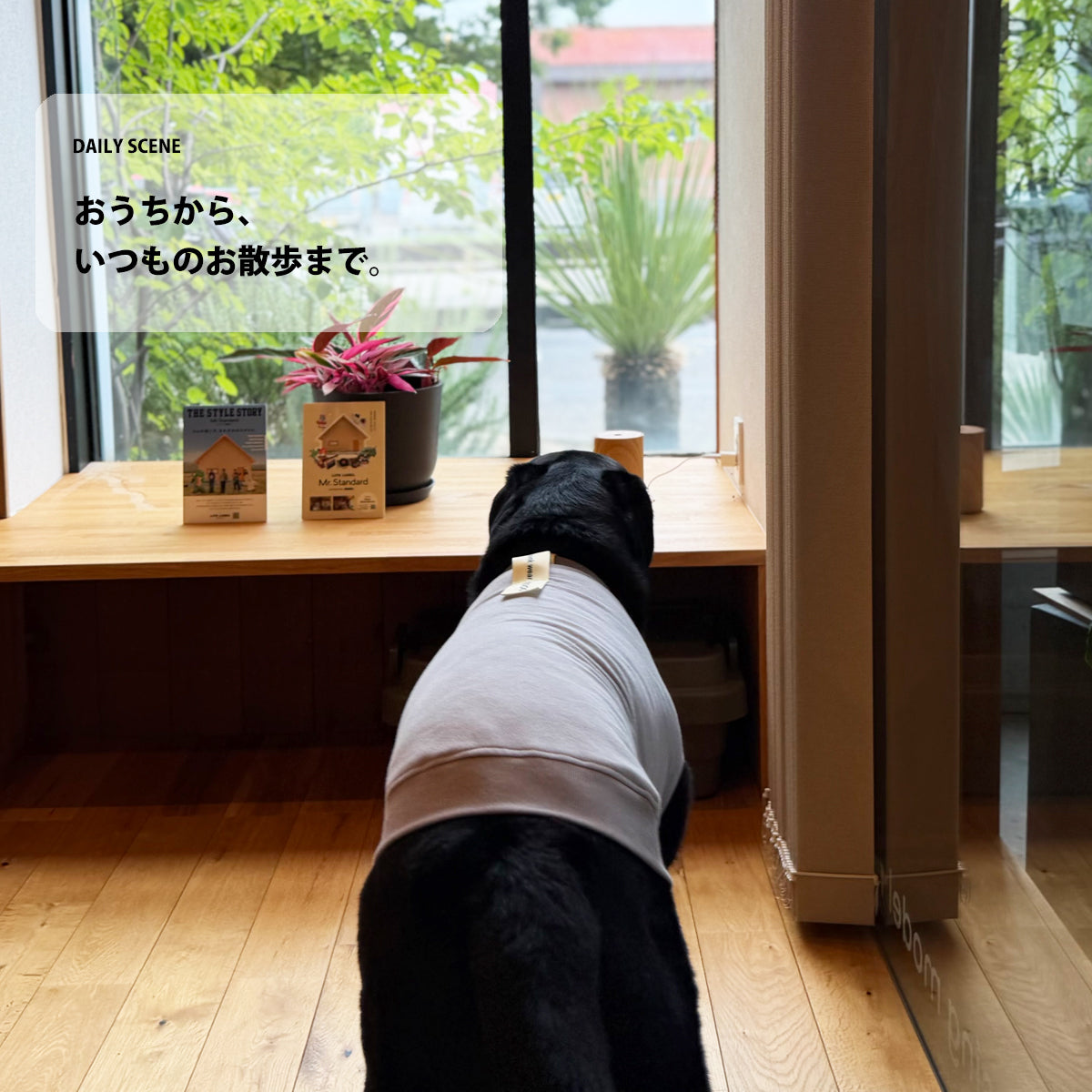 【受注商品】DAILY RIBU ad086