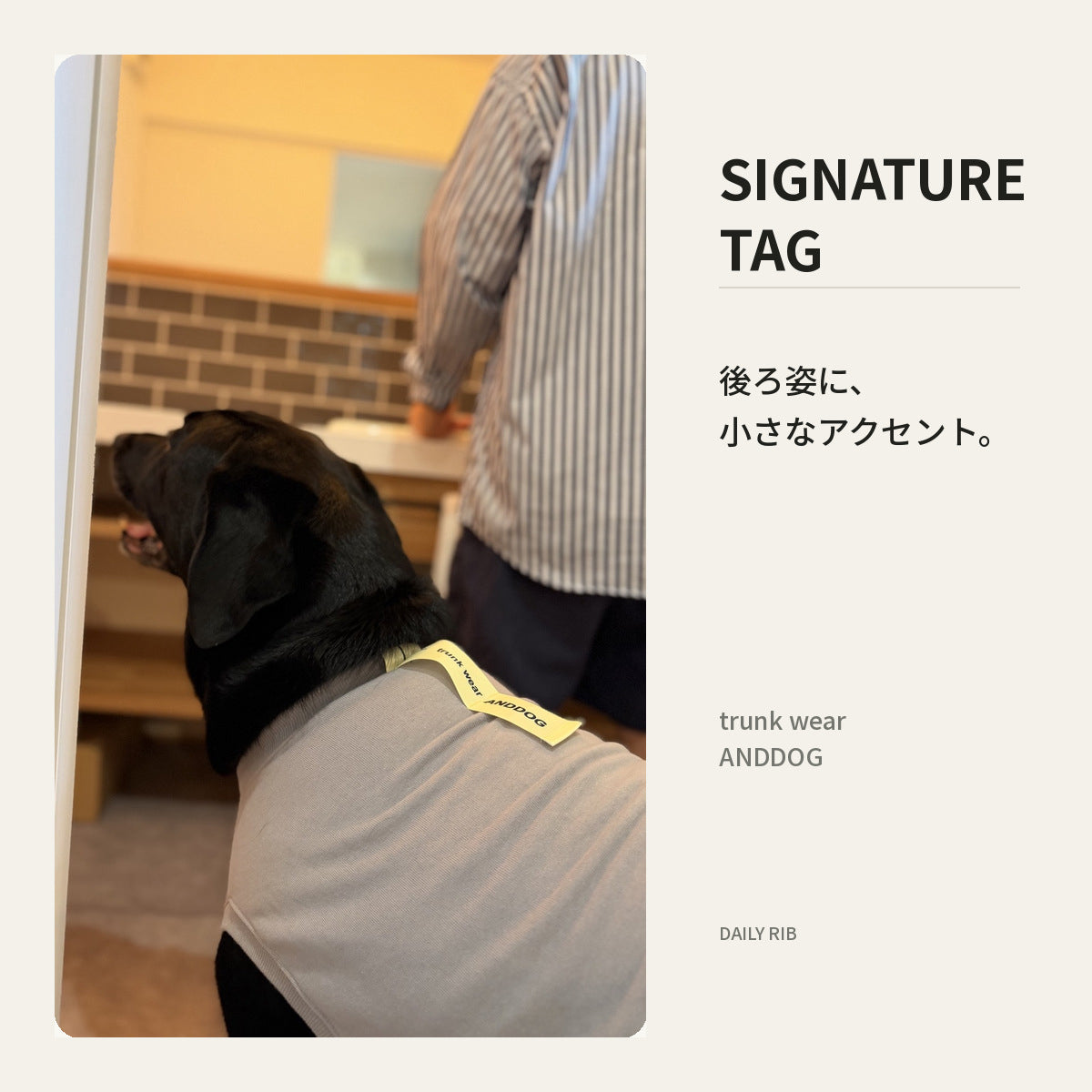 【受注商品】DAILY RIBU ad086