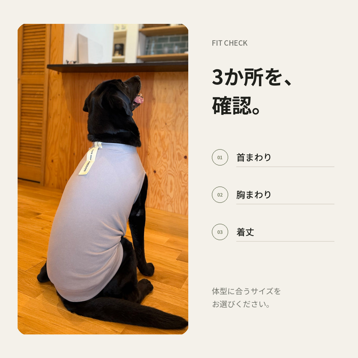 【受注商品】DAILY RIBU ad086