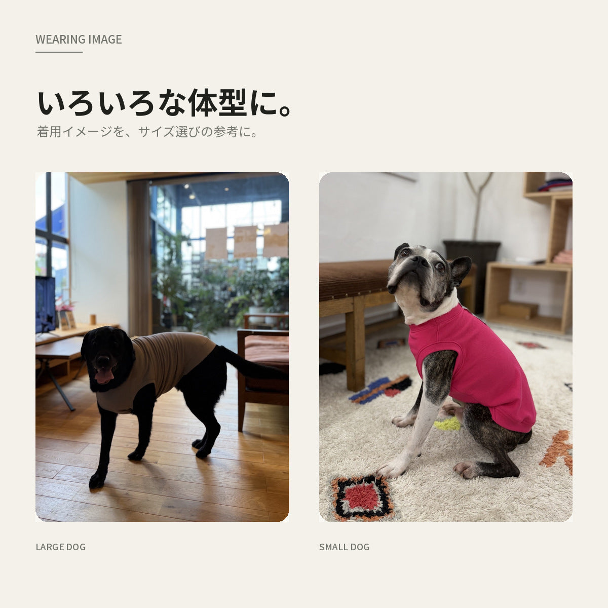 【受注商品】DAILY RIBU ad086