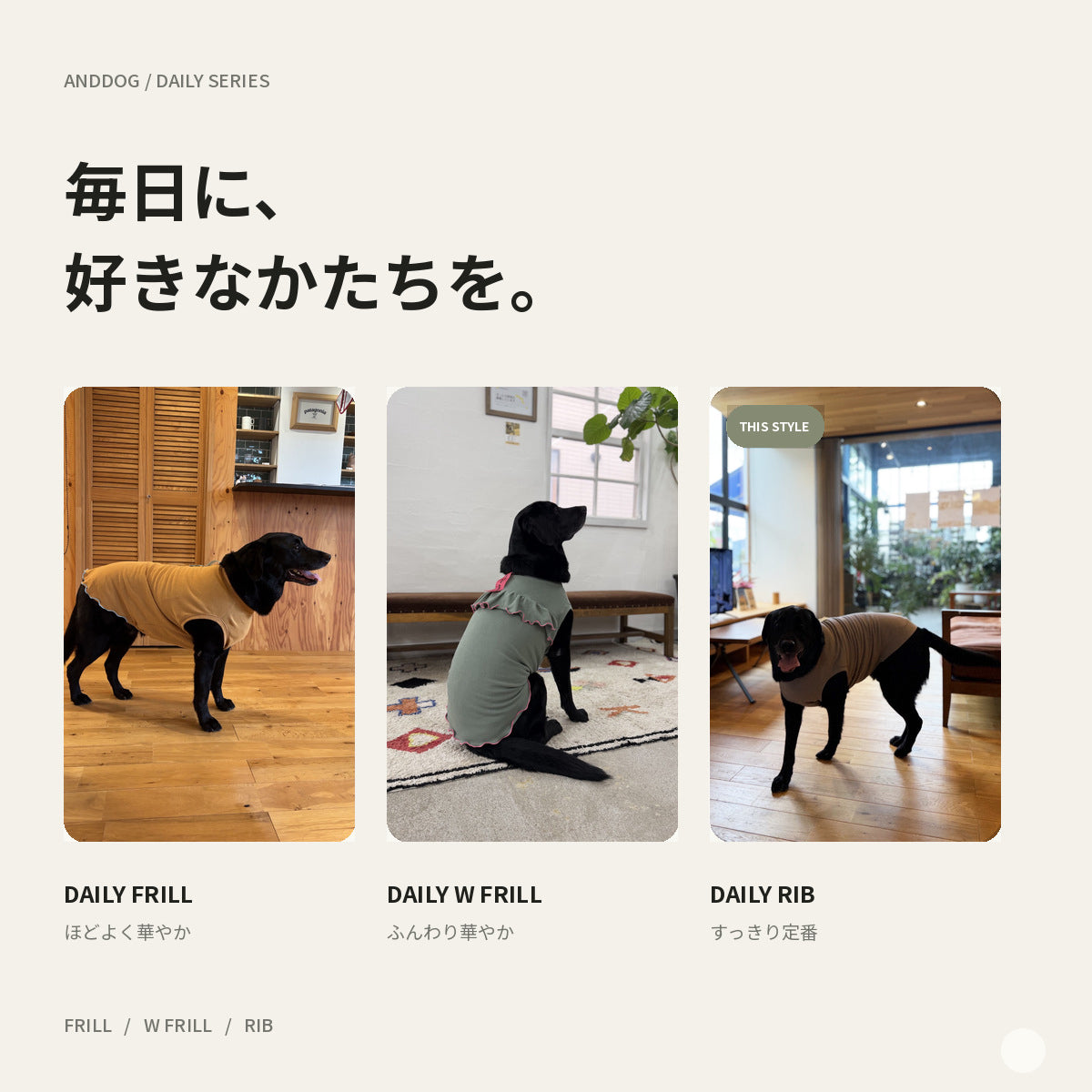 【受注商品】DAILY RIBU ad086