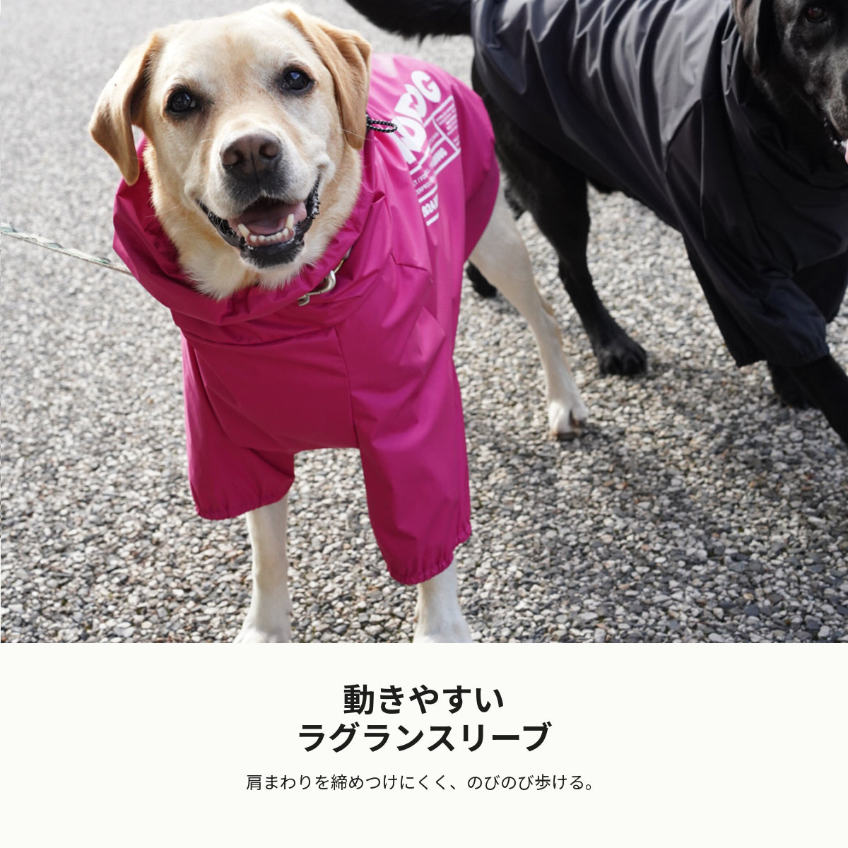 【受注商品】RAIN SMOCK ad087