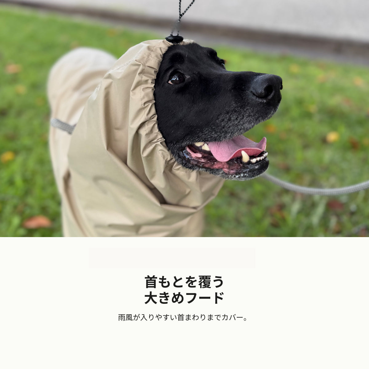 【受注商品】RAIN SMOCK ad087