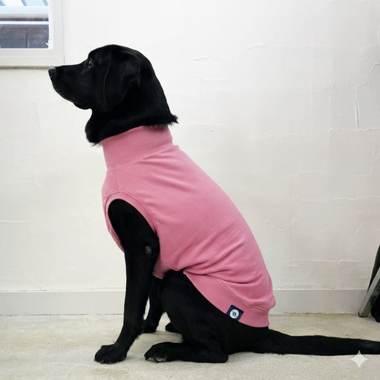 【受注商品】無地スウェット　ad057