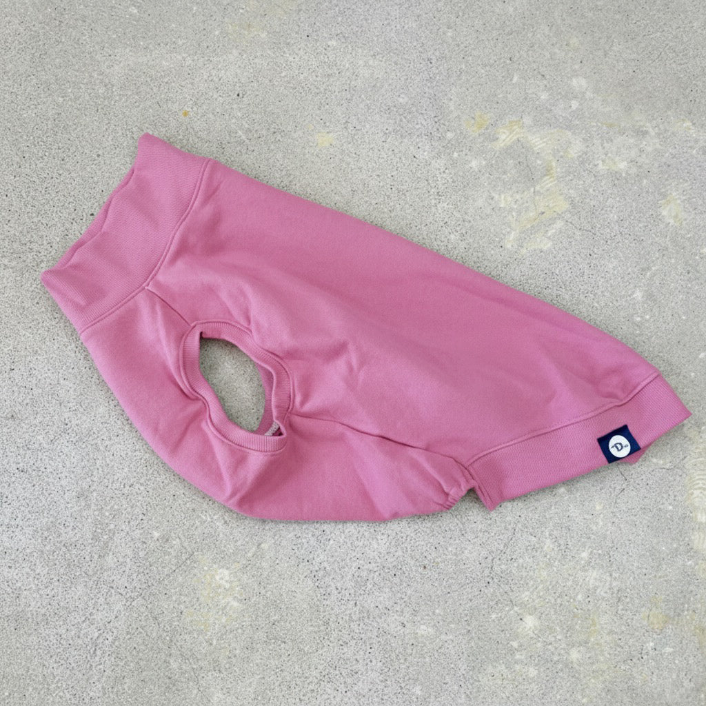 【受注商品】無地スウェット　ad057