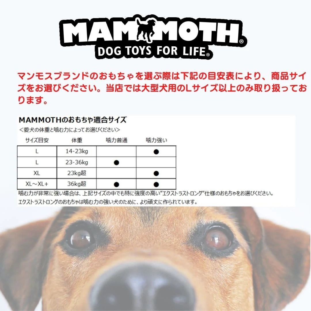 デンタルロープタグ エクストラストロング フレッシュミント L 63cm TY010